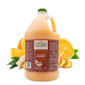 Ginger Orange Calming Dog Shampoo 1 Gallon Y99079