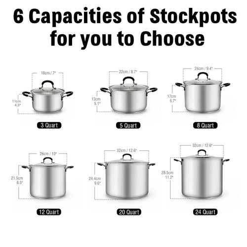 12-Quart Stainless Steel Stock Pot with Lid M875
