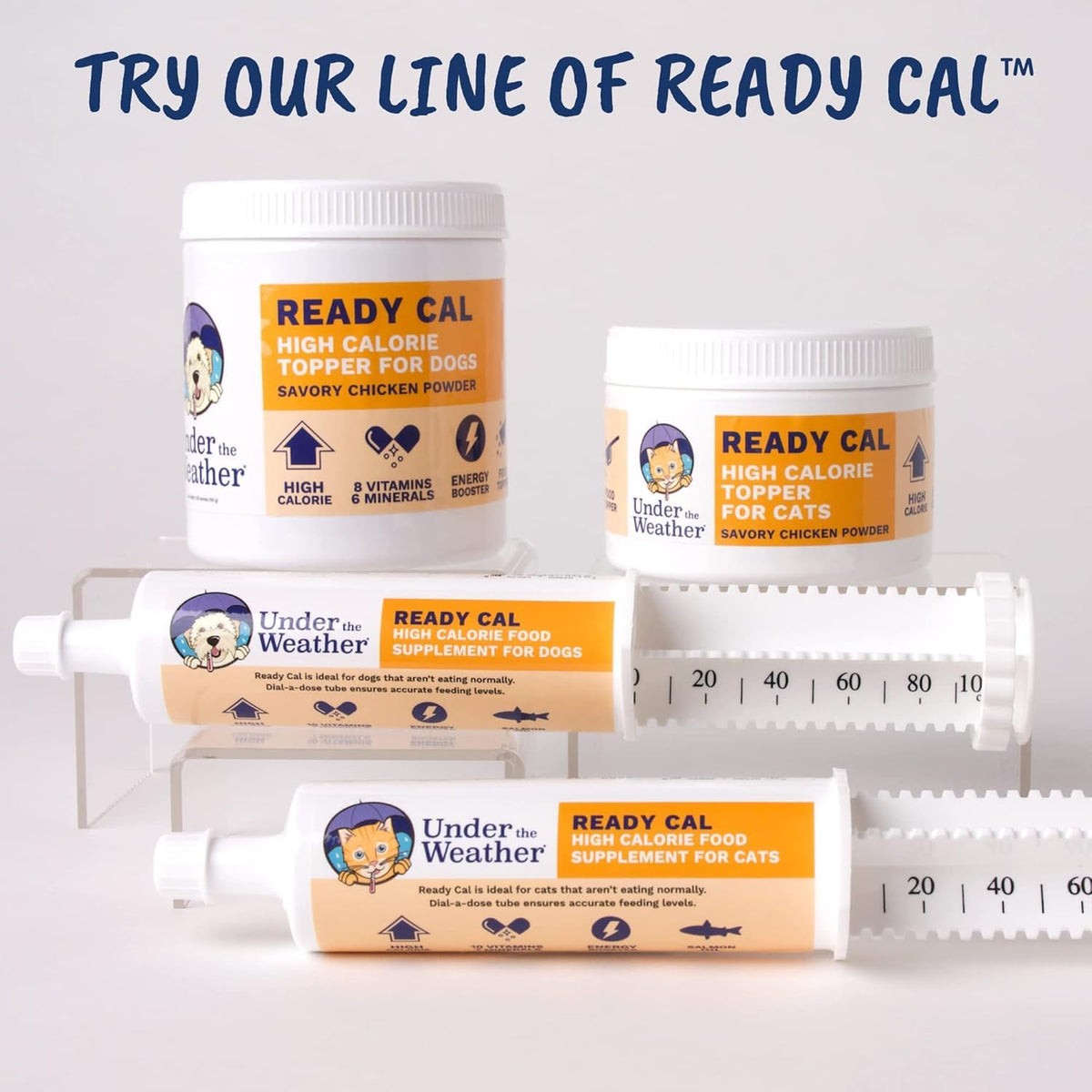 Chicken Flavor High-Calorie Cat Supplement Powder U973