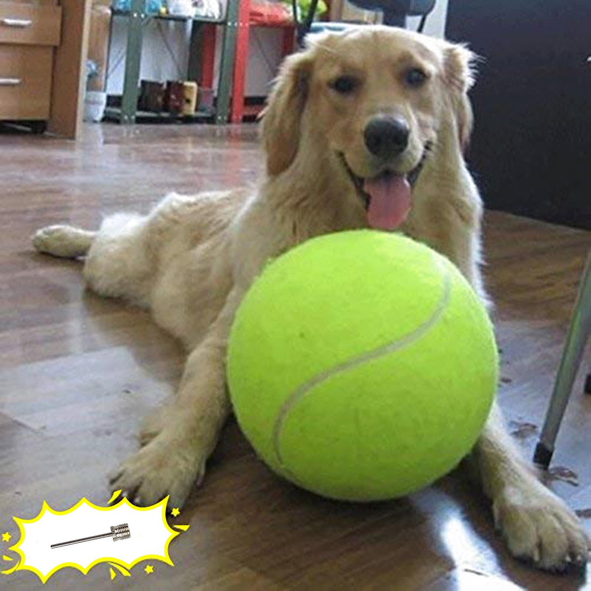 Dog Tennis Ball N8380