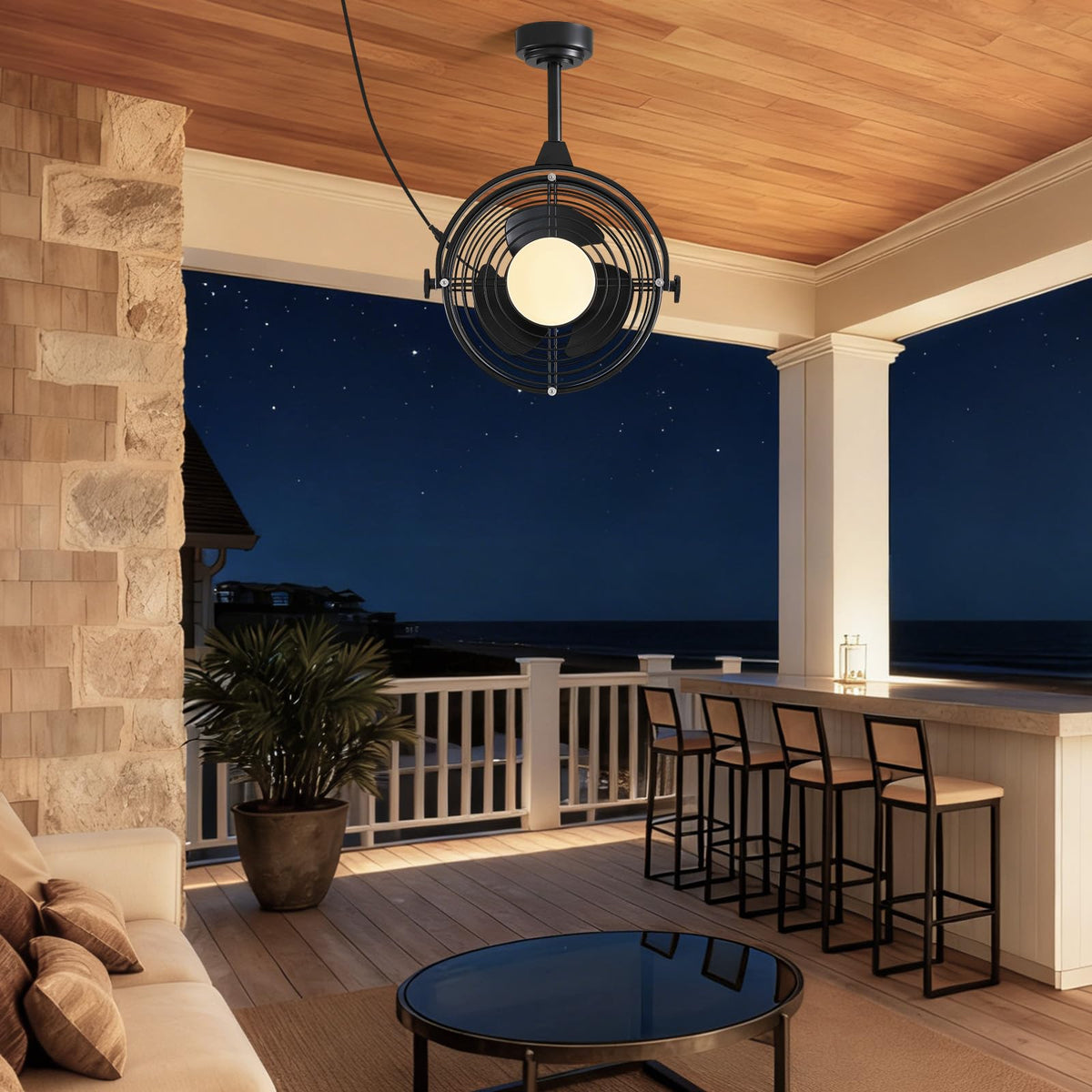 20" Outdoor Ceiling Fan with Lights T2301