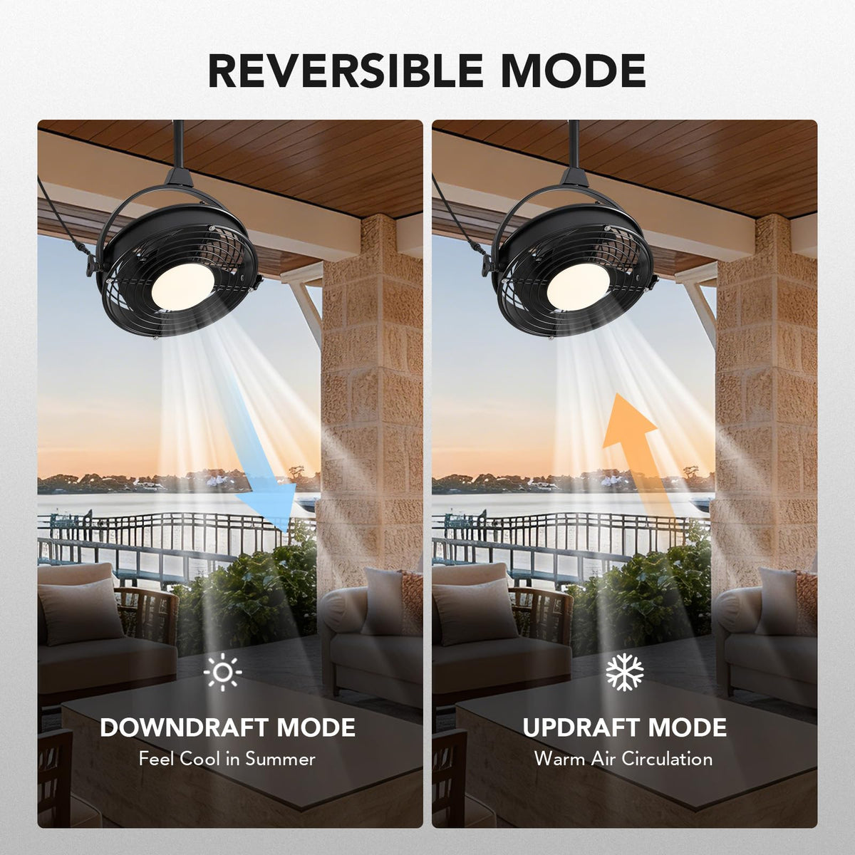 20" Outdoor Ceiling Fan with Lights T2301