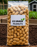 Whole in Shell Raw Peanuts 2.5 Pounds Y30966