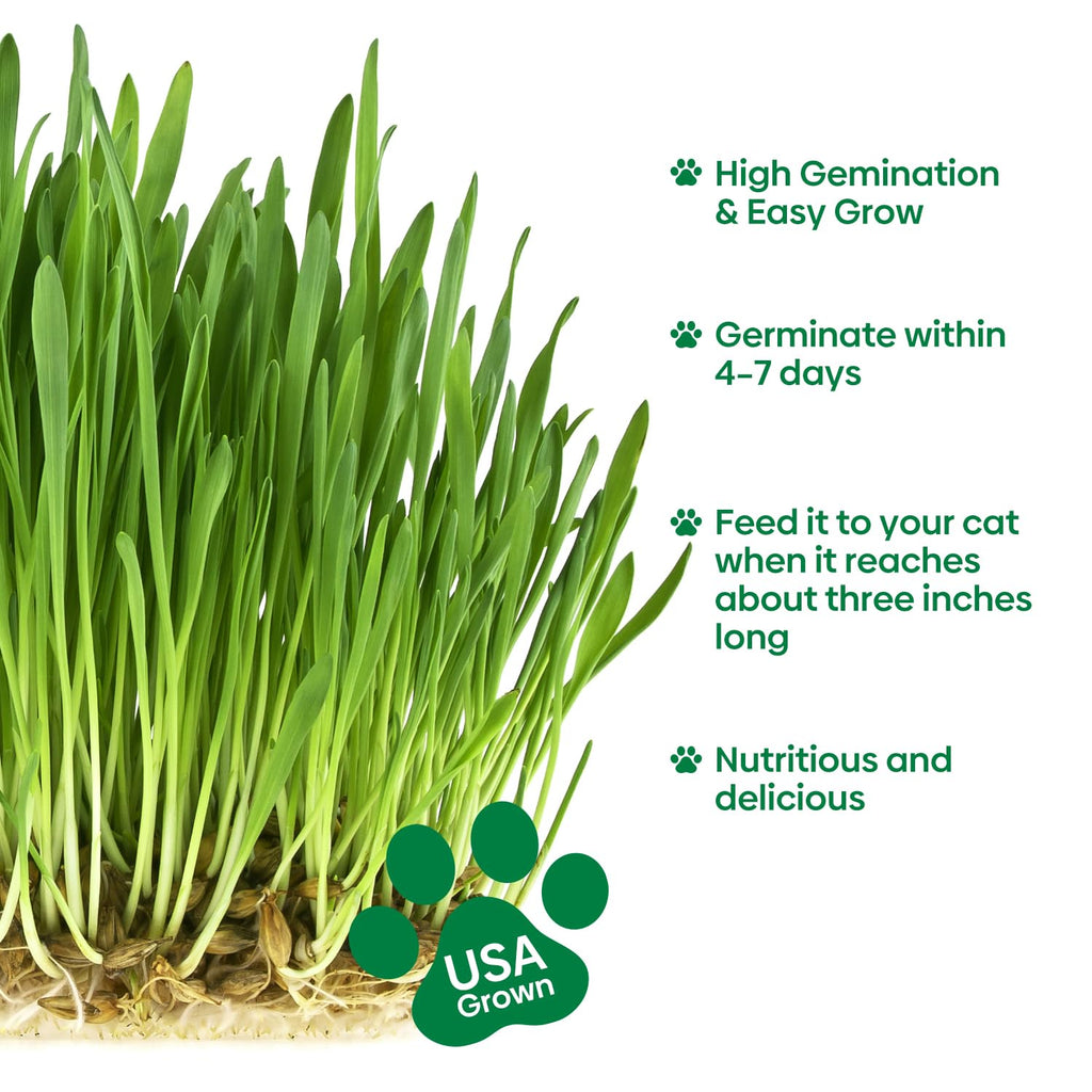 3 Pack Organic Non-GMO Cat Grass Growing Kit X968028