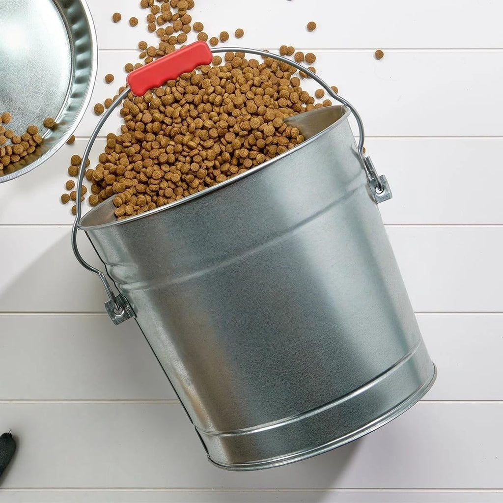 6-Gallon Galvanized Steel Storage Can with Locking Lid H7100