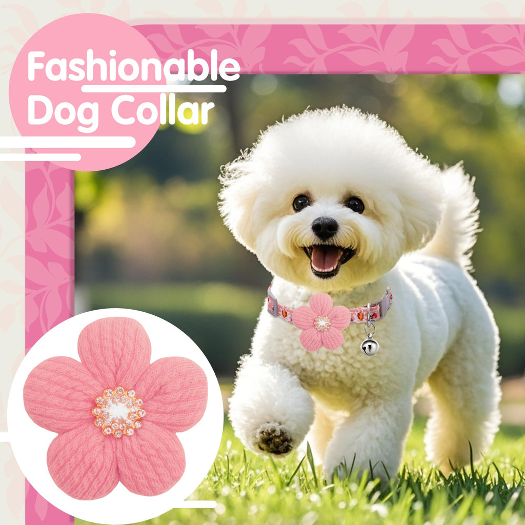 Small Dog Collar with Flower and Bell T7734