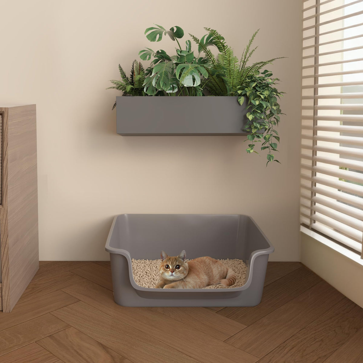 Open-Top High Sides Cat Litter Box with Low Entrance R473156