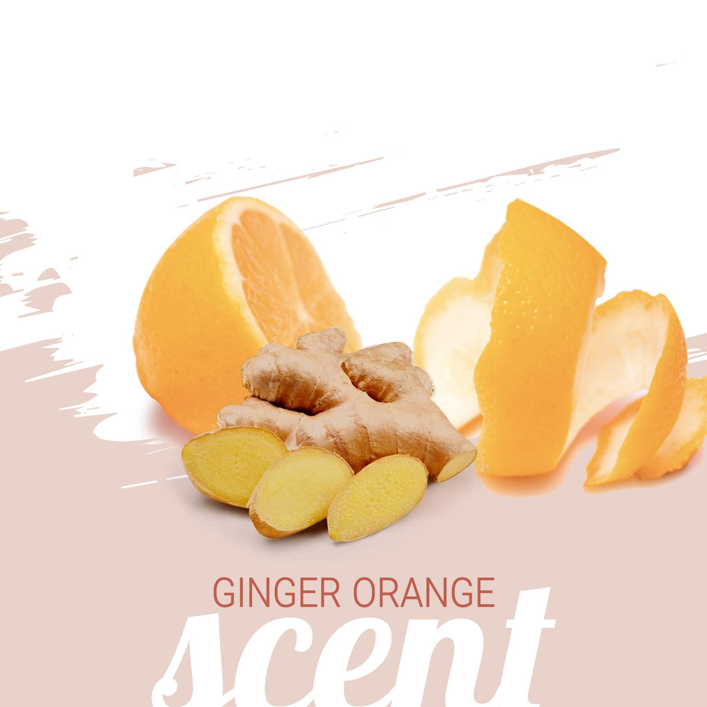 Ginger Orange Calming Dog Shampoo 1 Gallon Y99079