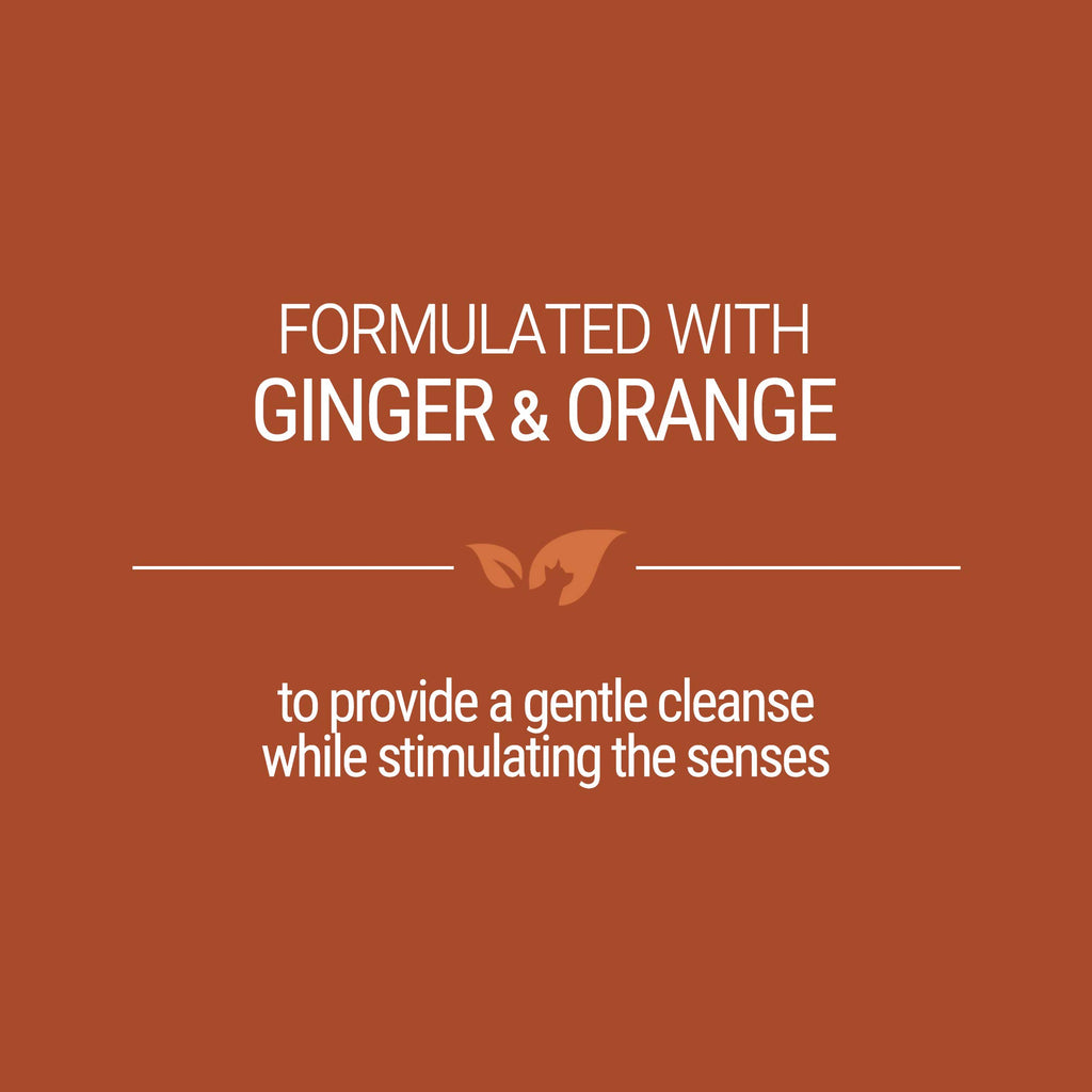 Ginger Orange Calming Dog Shampoo 1 Gallon Y99079
