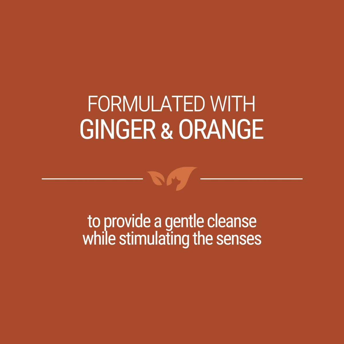 Ginger Orange Calming Dog Shampoo 1 Gallon Y99079
