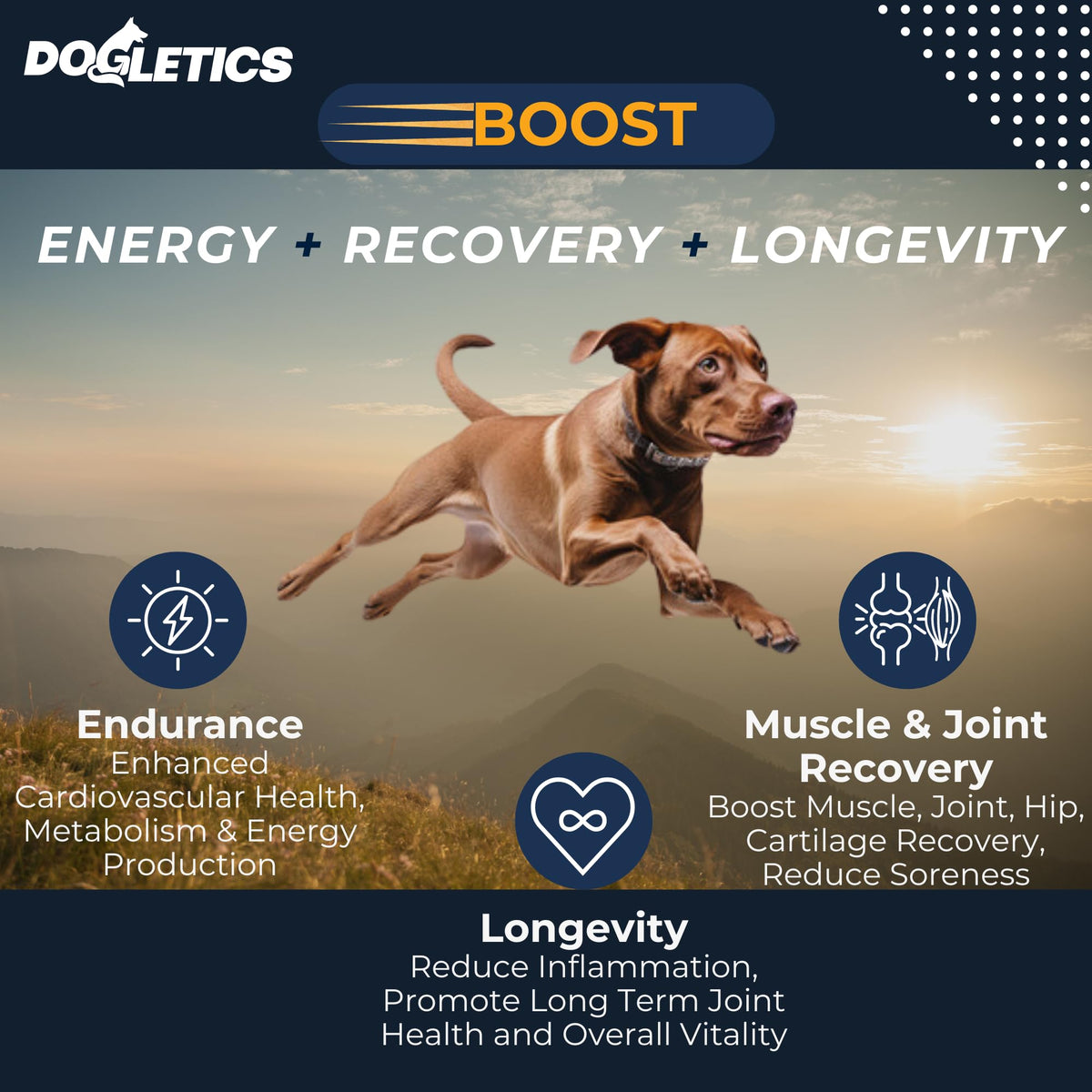 90ct Dog Support K9706