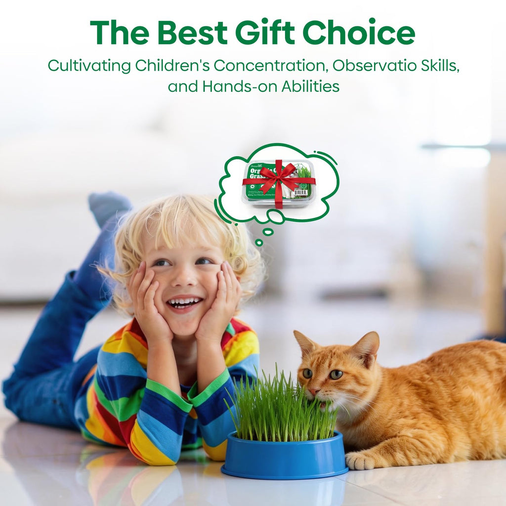 3 Pack Organic Non-GMO Cat Grass Growing Kit X968028