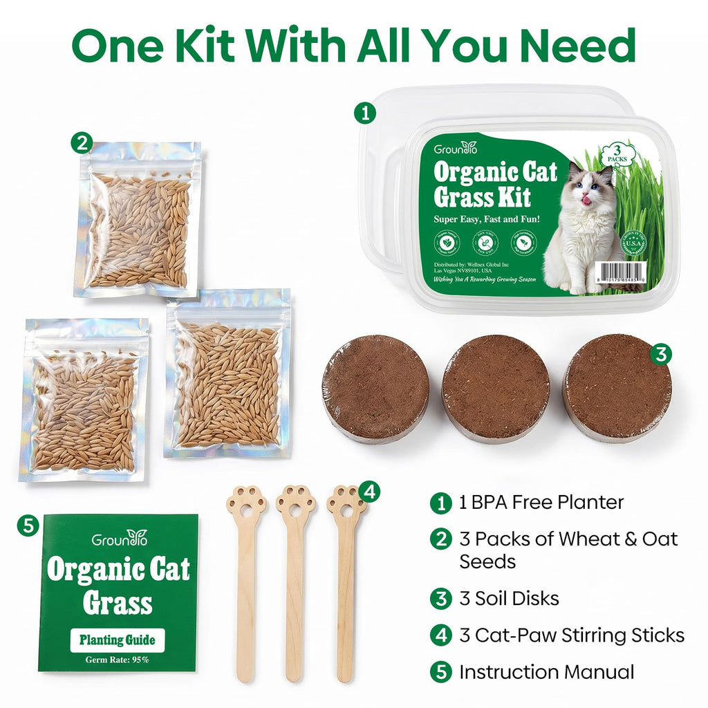3 Pack Organic Non-GMO Cat Grass Growing Kit X968028