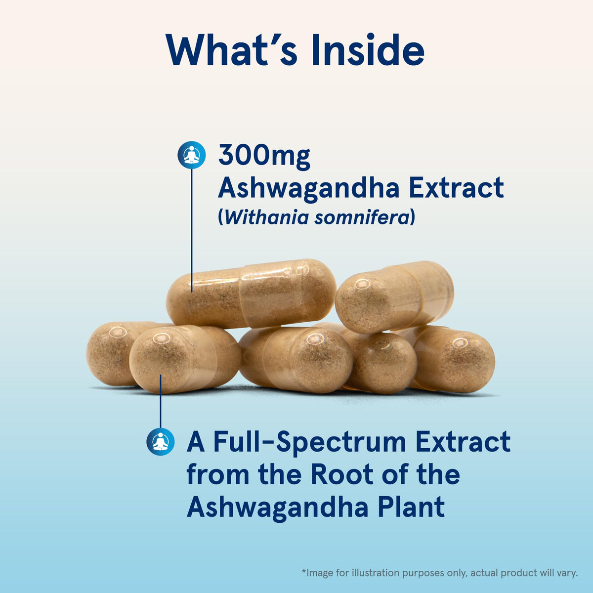 Ashwagandha Capsules 300 mg 120 Count P46247