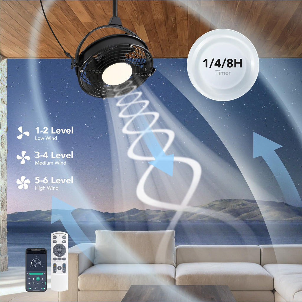 20" Outdoor Ceiling Fan with Lights T2301