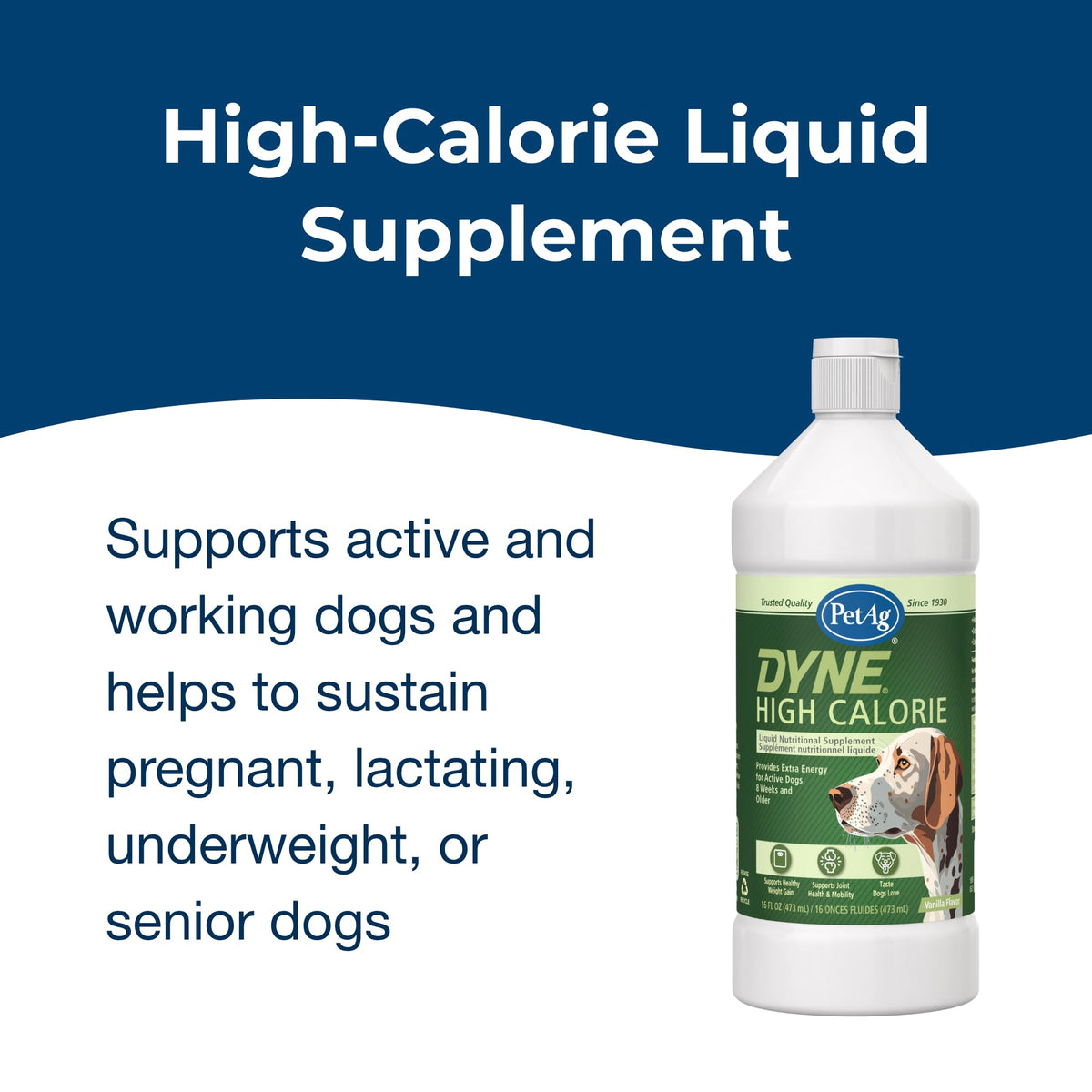 High Calorie Liquid Nutritional Supplement for Dogs & Puppies 16 oz A116