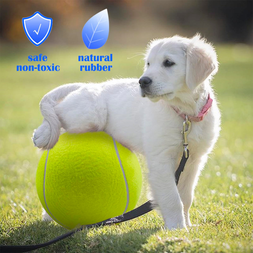 Dog Tennis Ball N8380