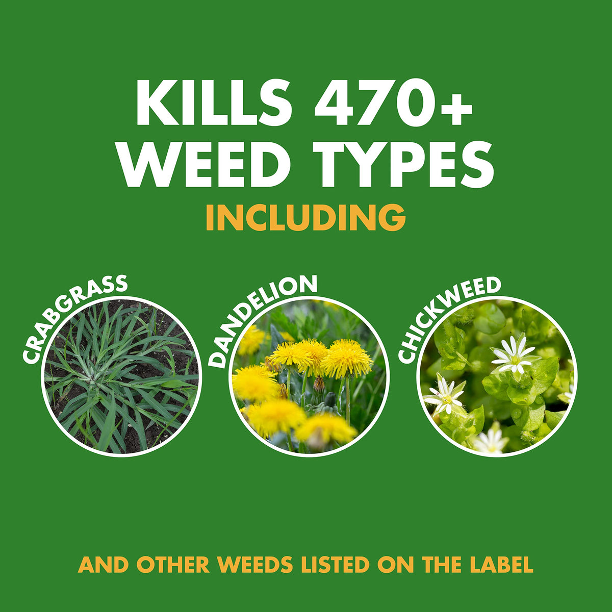 Weed and Crabgrass Killer Concentrate 40 Oz F8891