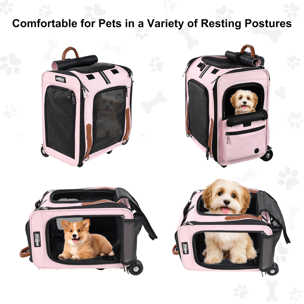 Rolling Dog & Cat Carrier Z3555