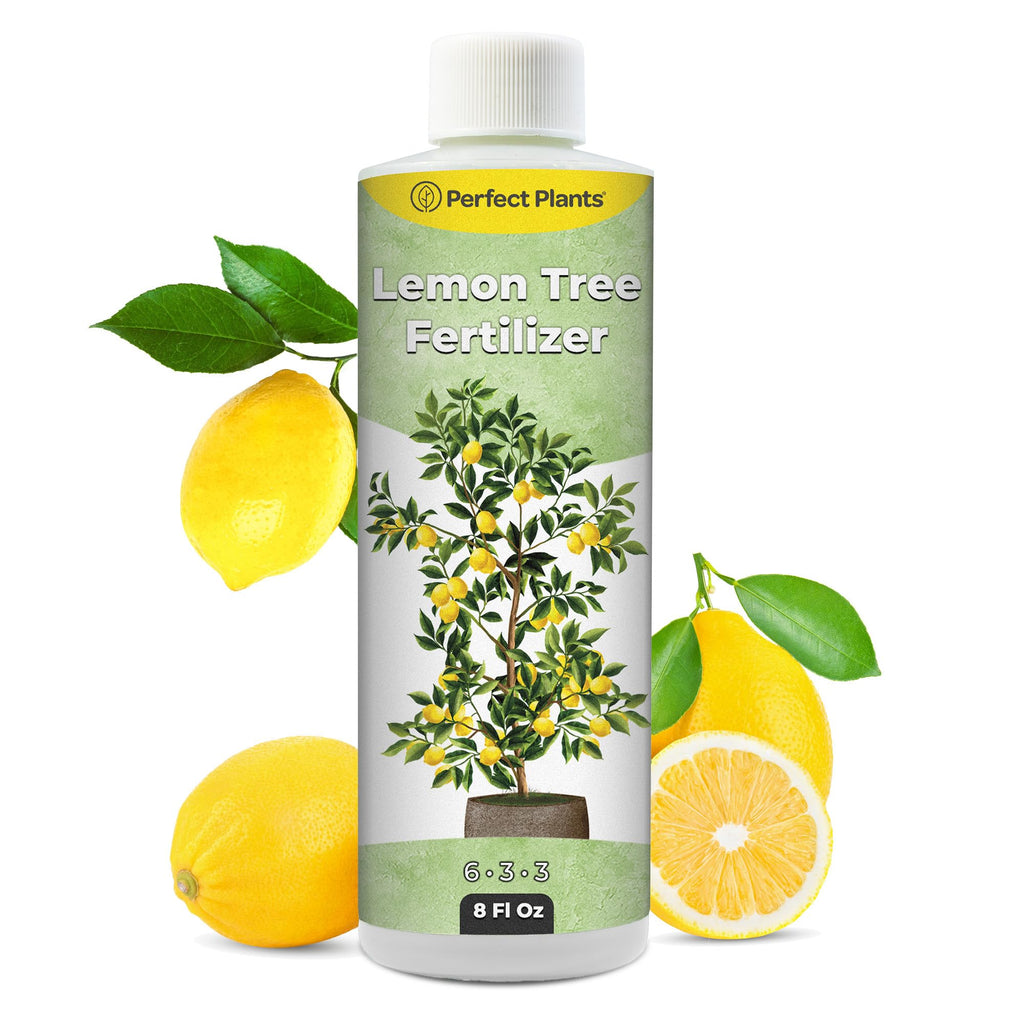 8 oz Citrus Plant Fertilizer G8822