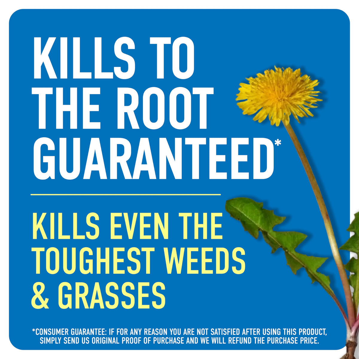 Weed & Grass Killer with Sprayer M566629