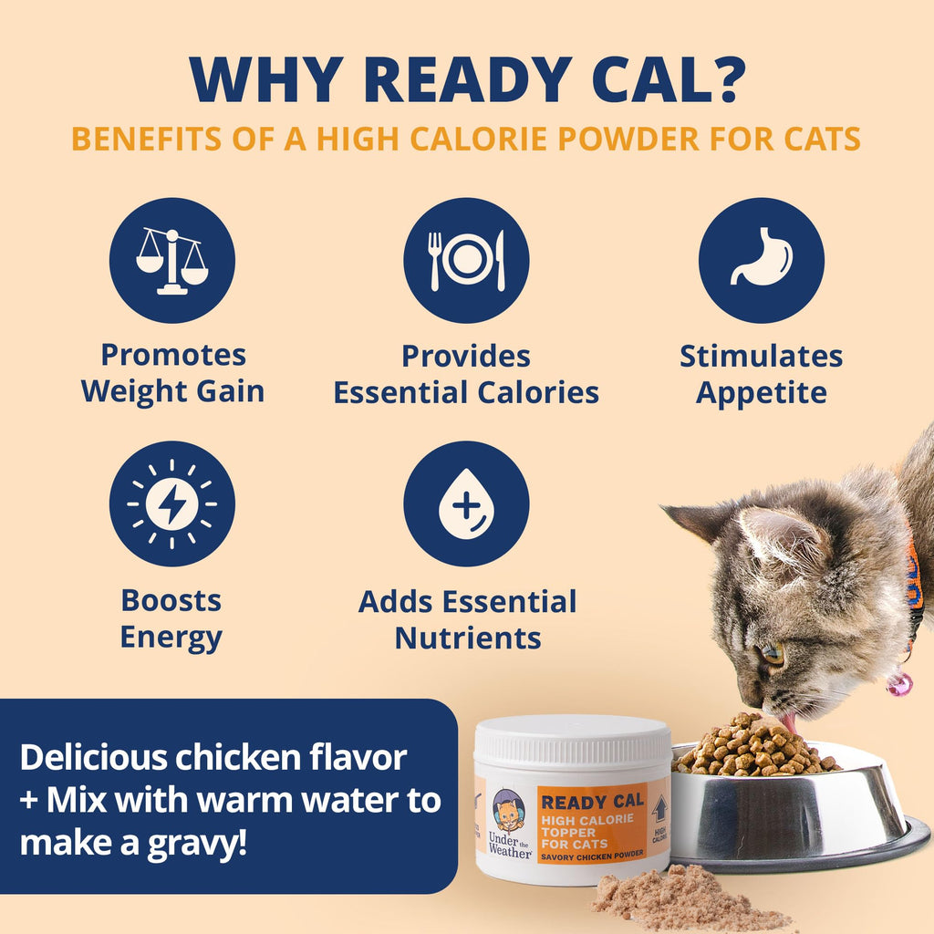 Chicken Flavor High-Calorie Cat Supplement Powder U973