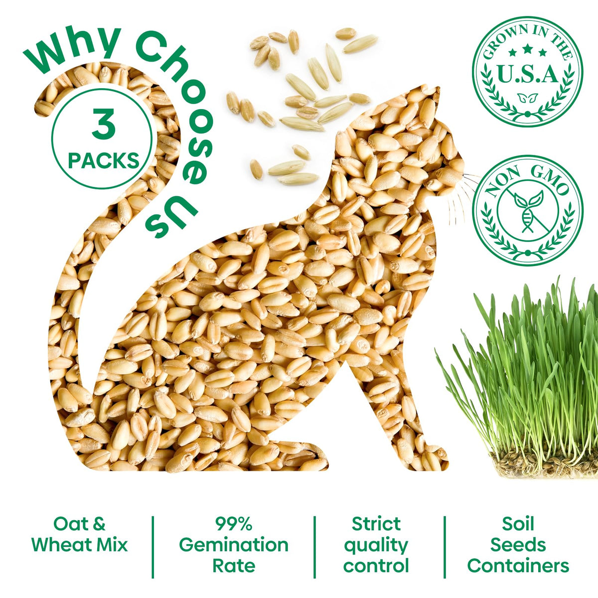 3 Pack Organic Non-GMO Cat Grass Growing Kit X968028