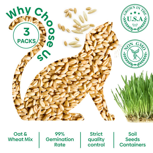 3 Pack Organic Non-GMO Cat Grass Growing Kit X968028