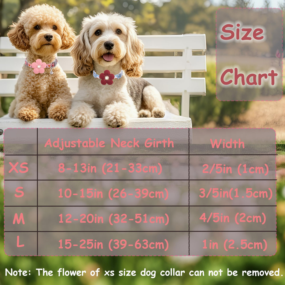 Small Dog Collar with Flower and Bell T7734