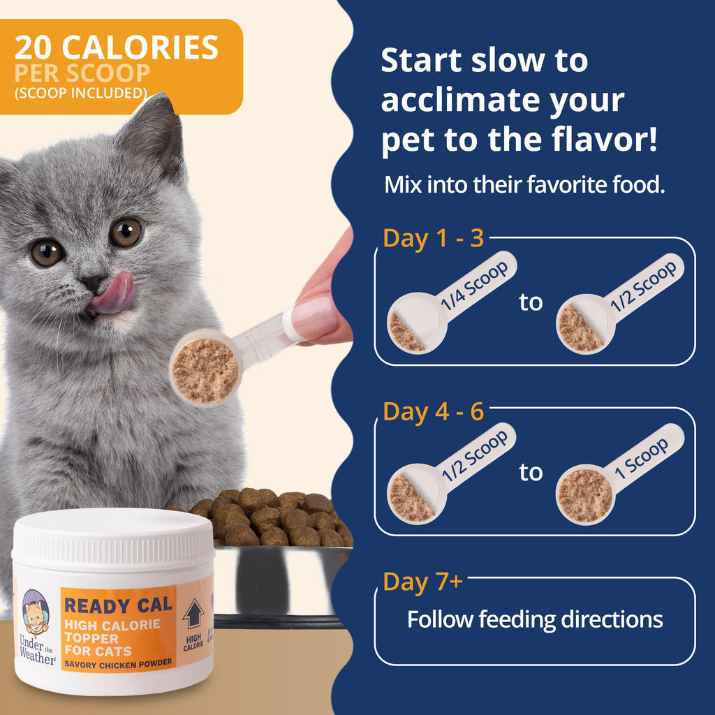 Chicken Flavor High-Calorie Cat Supplement Powder U973