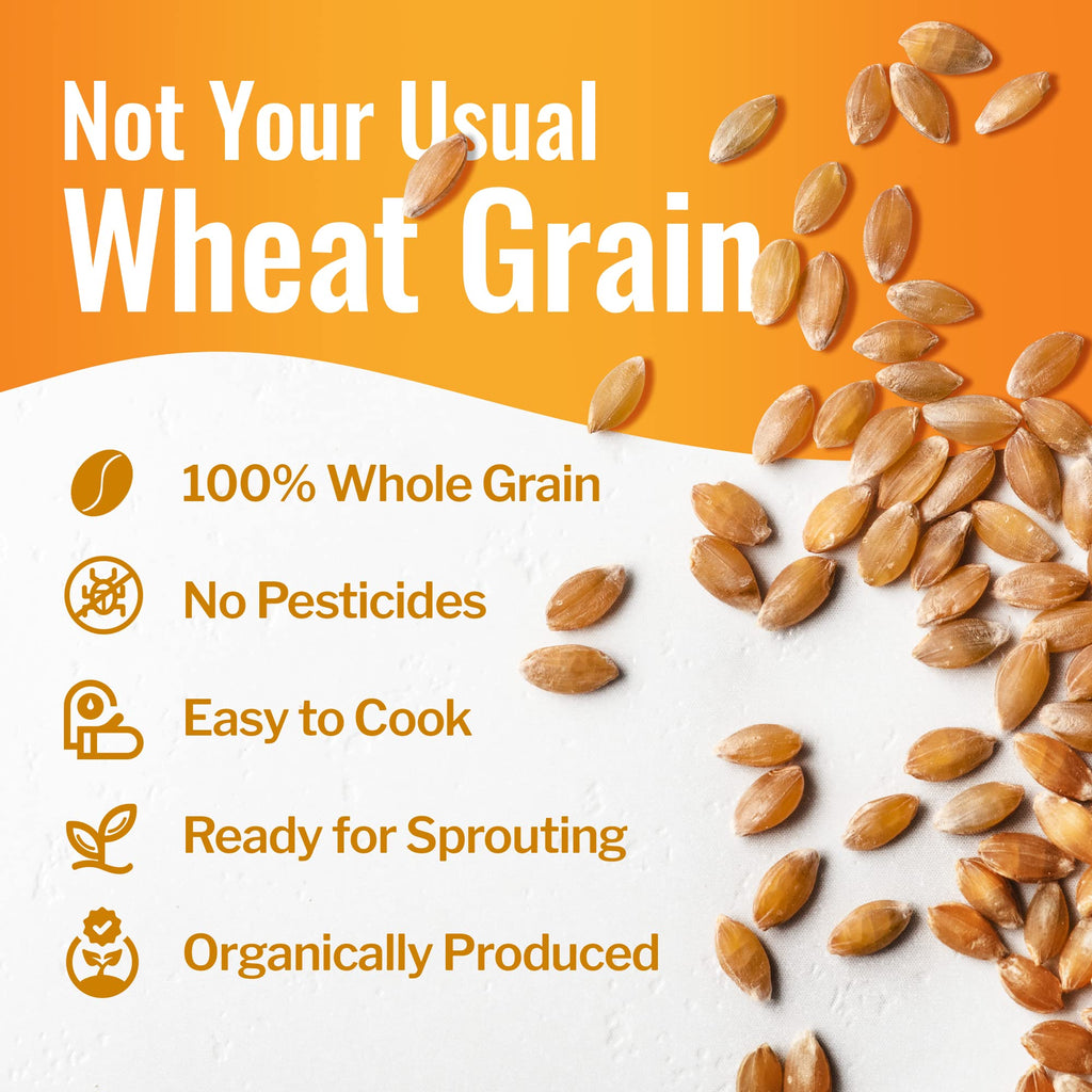 100% Organic Hard White Wheat Berries 43 lbs J846449