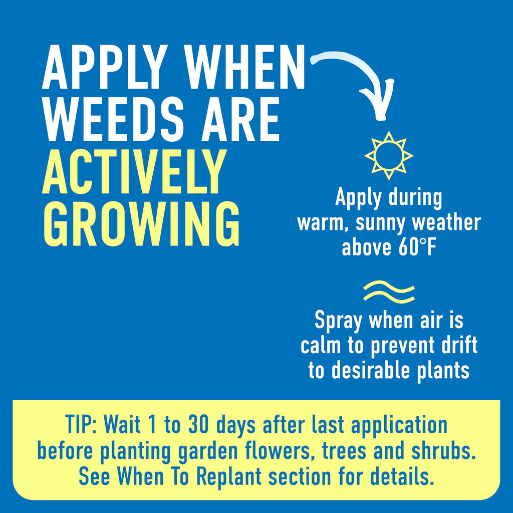 Weed & Grass Killer with Sprayer M566629