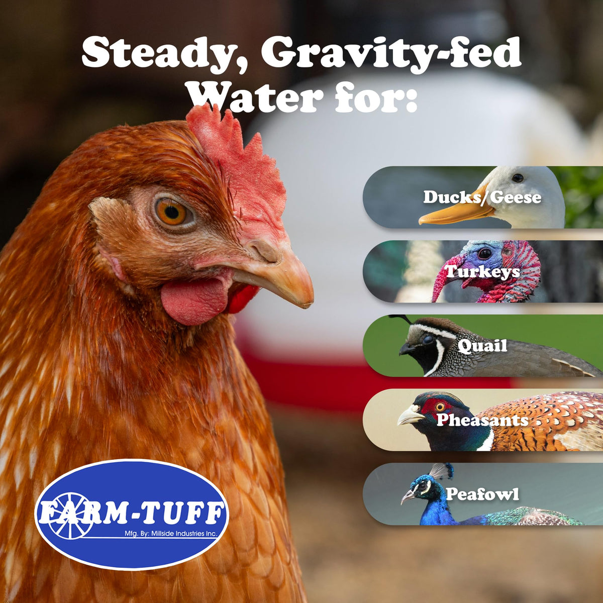 3 Gallon BPA-Free Plastic Hanging Chicken Waterer H200