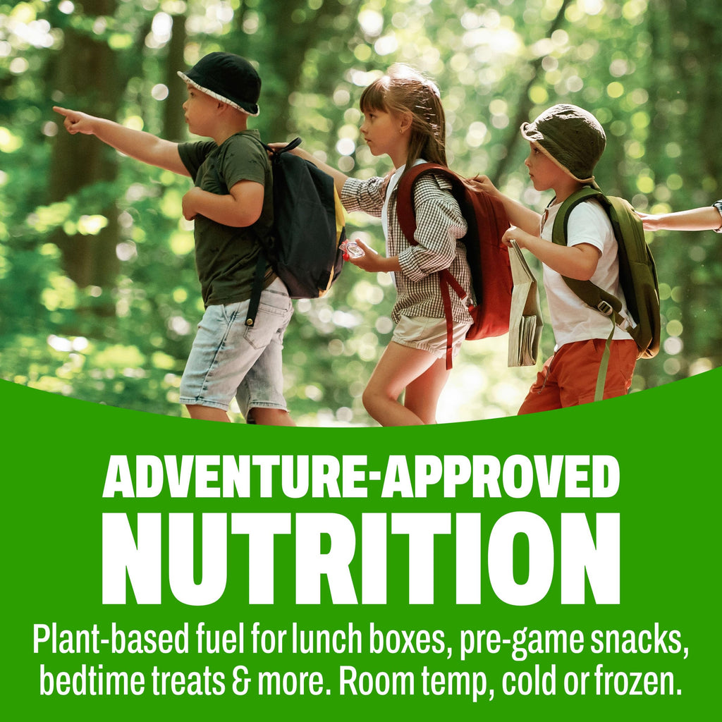 Organic Vegan Kids Protein Shakes Chocolate 8 Fl Oz 12 Pack P214