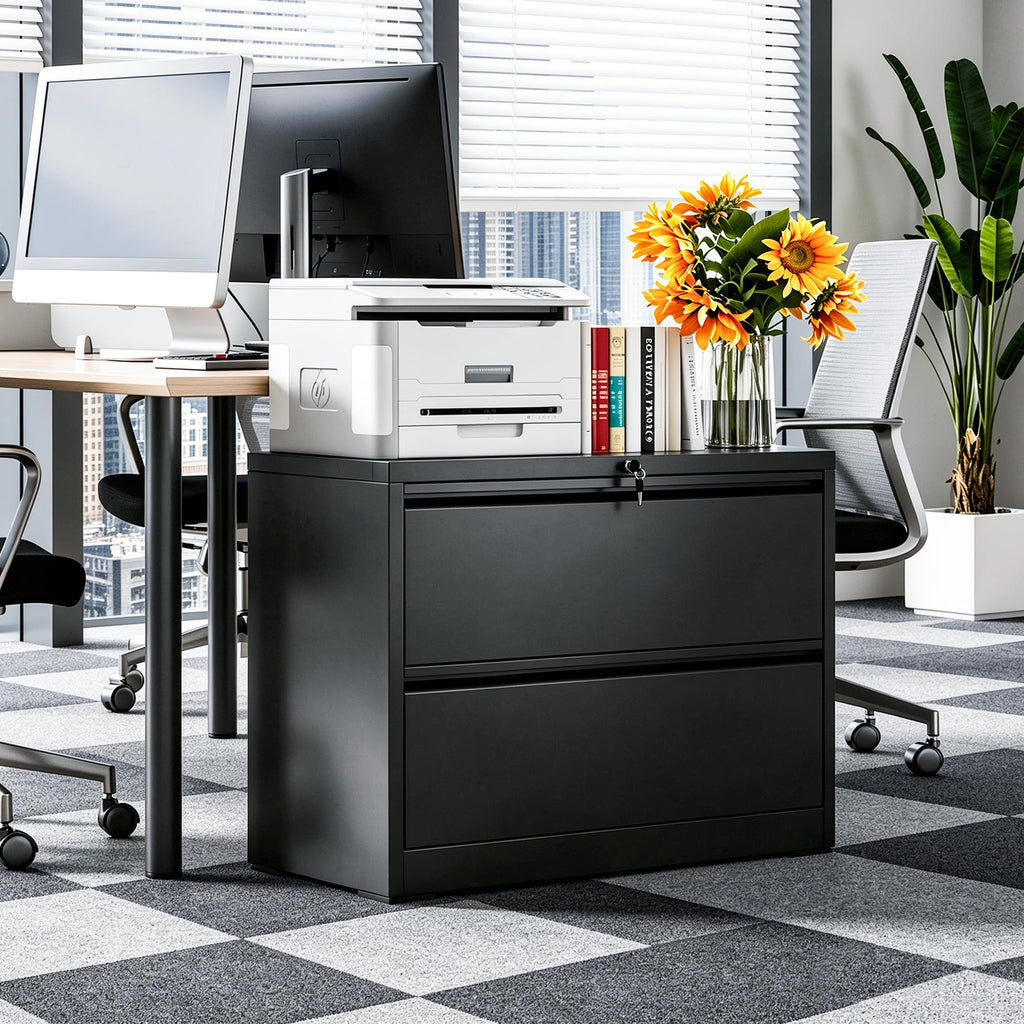 Black 2 Drawer Metal Lateral File Cabinet with Lock U93313