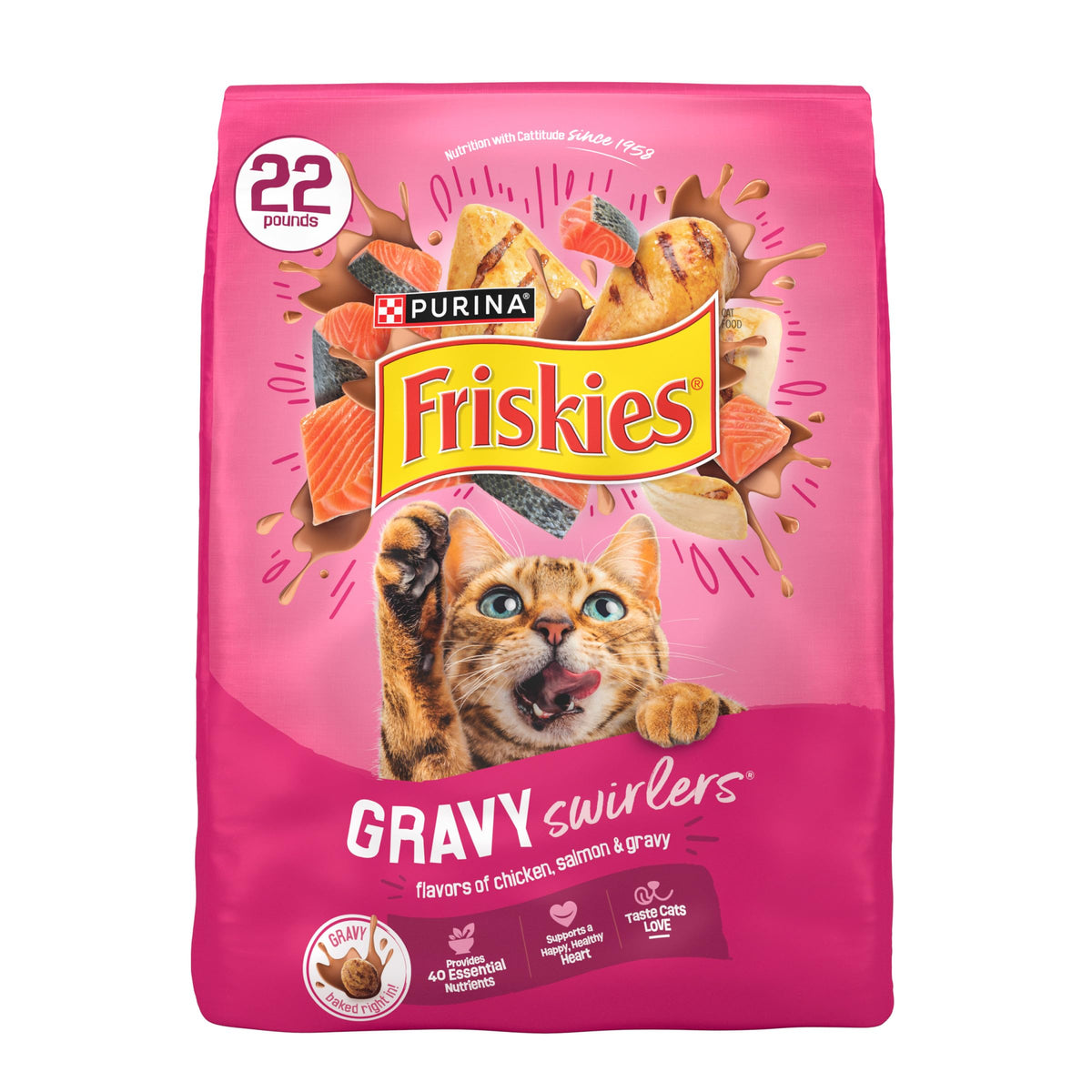 Dry Cat Food, Chicken & Salmon, 22 lb Bag P3851