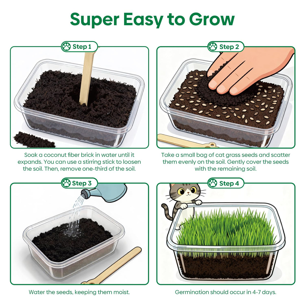 3 Pack Organic Non-GMO Cat Grass Growing Kit X968028
