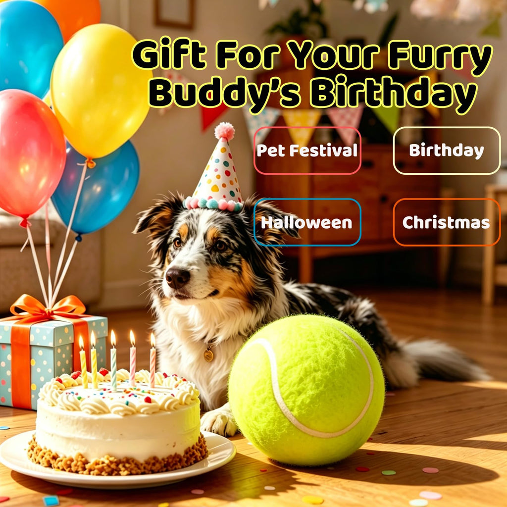 Dog Tennis Ball N8380