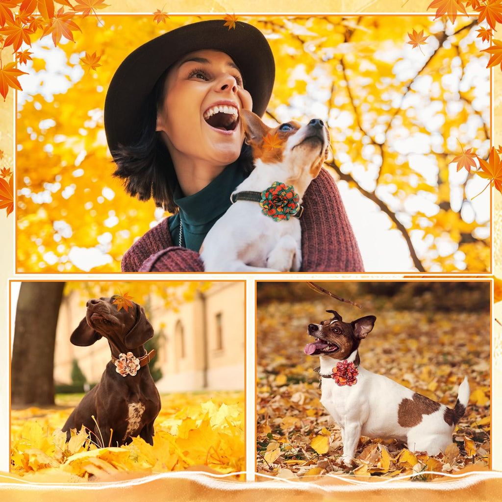 60 Pcs Fall Pet Bow G64178