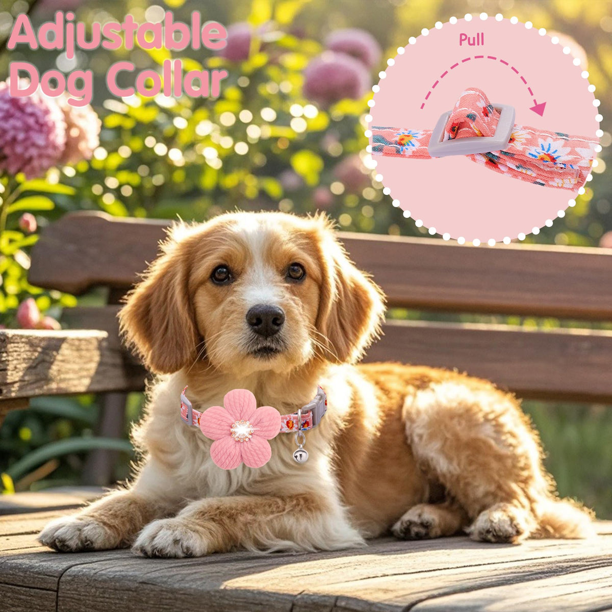 Small Dog Collar with Flower and Bell T7734
