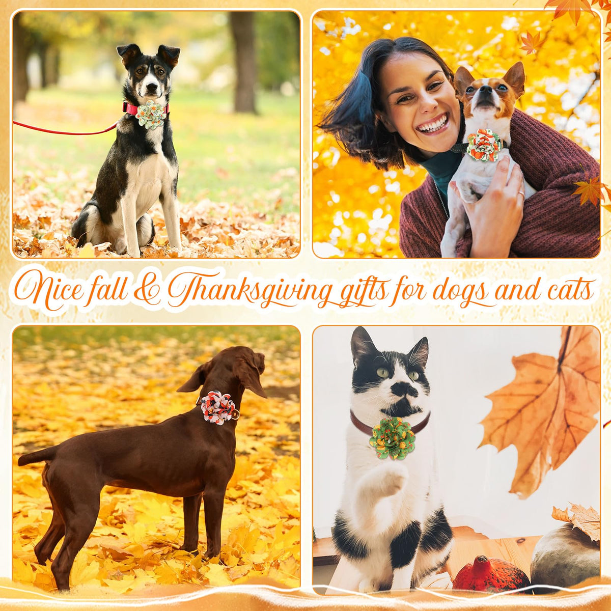 60 Pcs Fall Pet Bow G64178