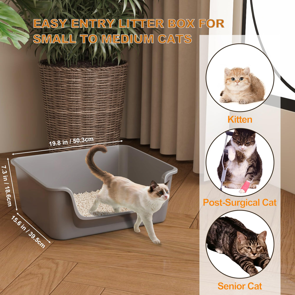 Open-Top High Sides Cat Litter Box with Low Entrance R473156