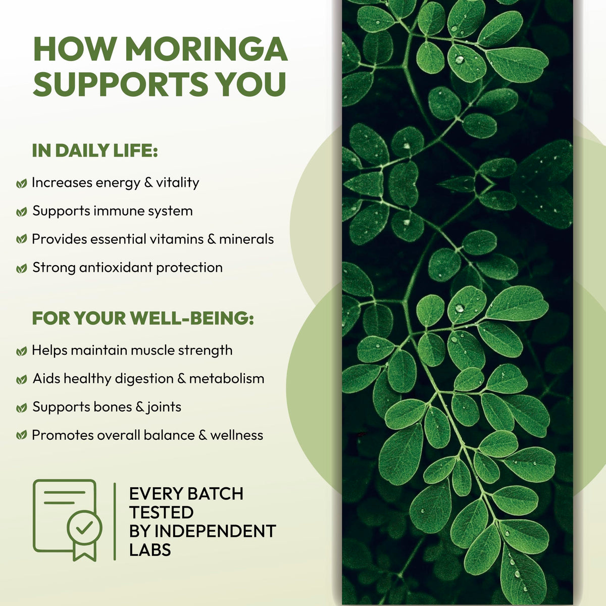 Organic Moringa Leaf Capsules 1000mg 90 Capsules Y714683