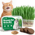 3 Pack Organic Non-GMO Cat Grass Growing Kit X968028