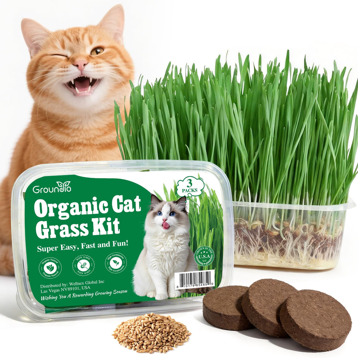 3 Pack Organic Non-GMO Cat Grass Growing Kit X968028