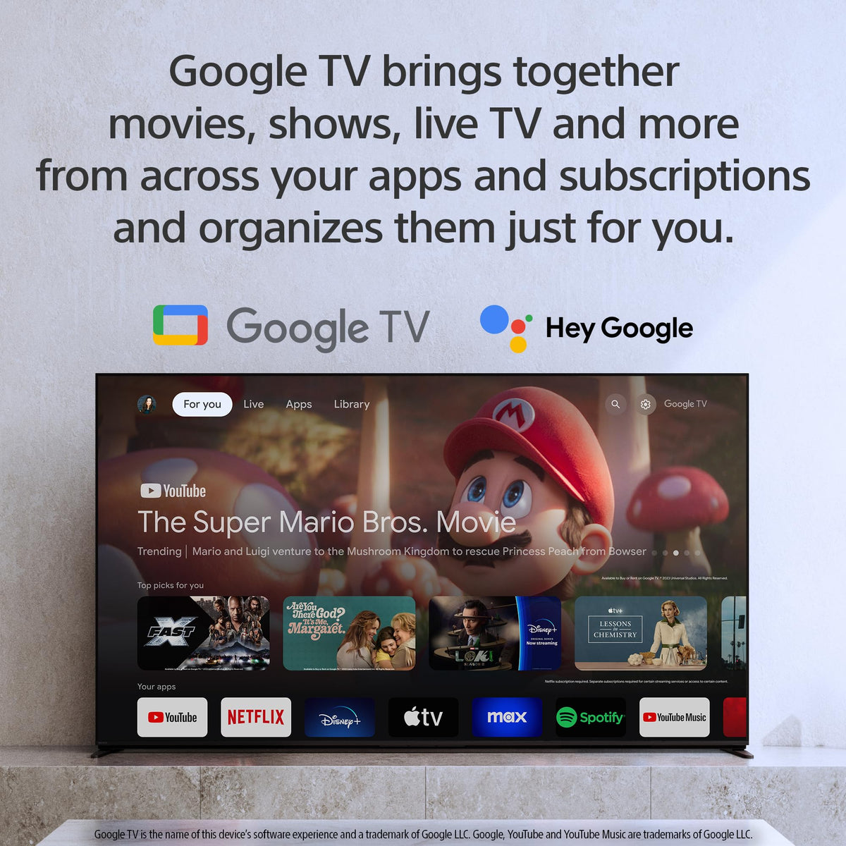 55 Inch OLED 4K HDR Smart Google TV R471662