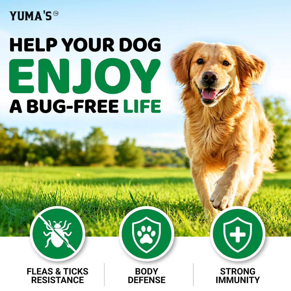 Natural Oral Flea and Tick Prevention for Dogs, 170 Chews J4389