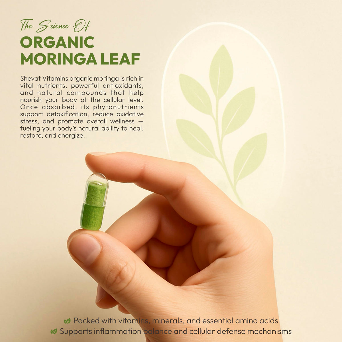 Organic Moringa Leaf Capsules 1000mg 90 Capsules Y714683