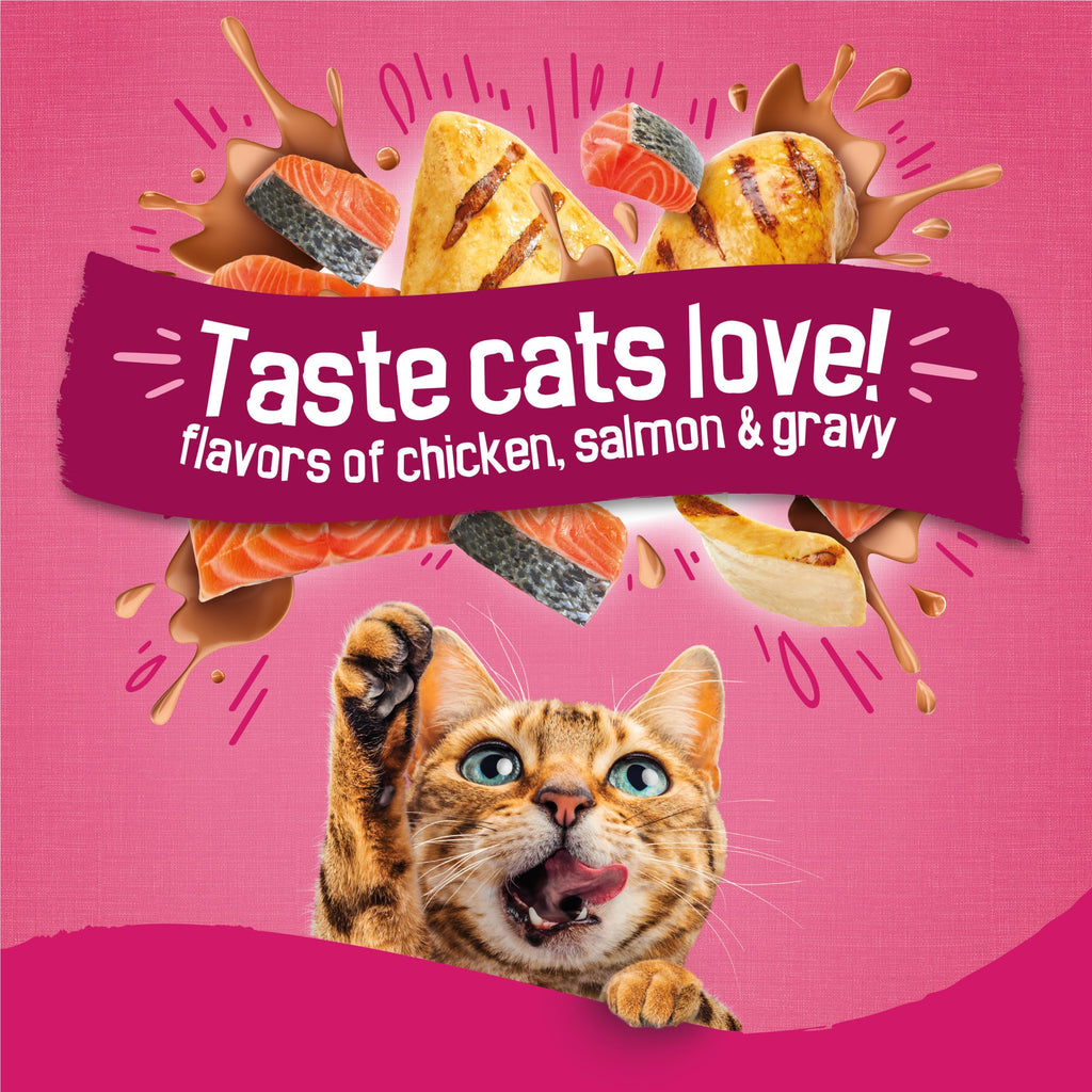 Dry Cat Food, Chicken & Salmon, 22 lb Bag P3851