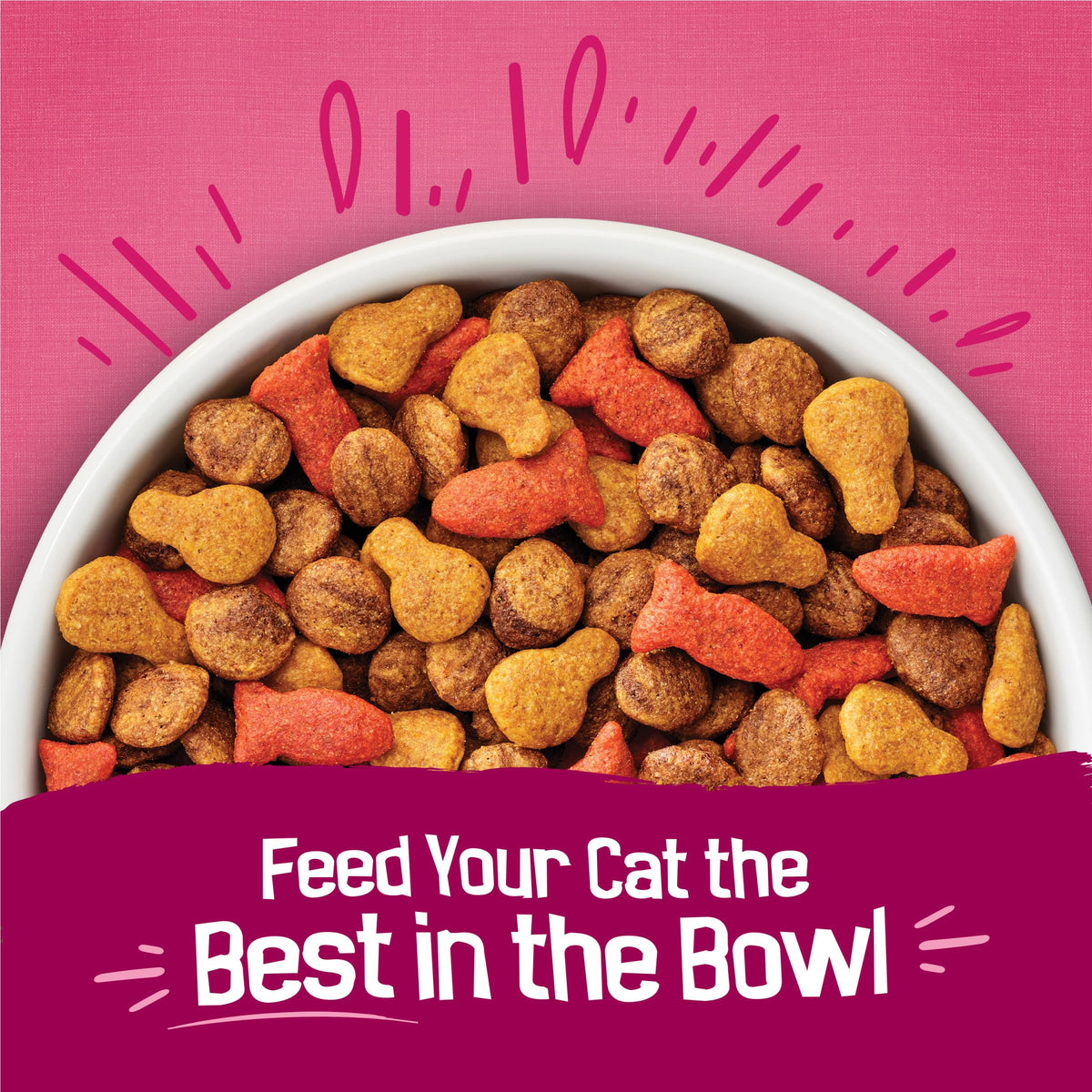 Dry Cat Food, Chicken & Salmon, 22 lb Bag P3851